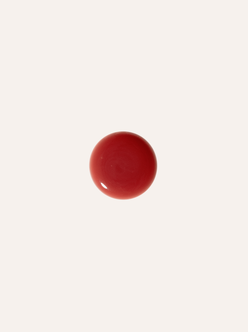 Lip Glaze in Fancy