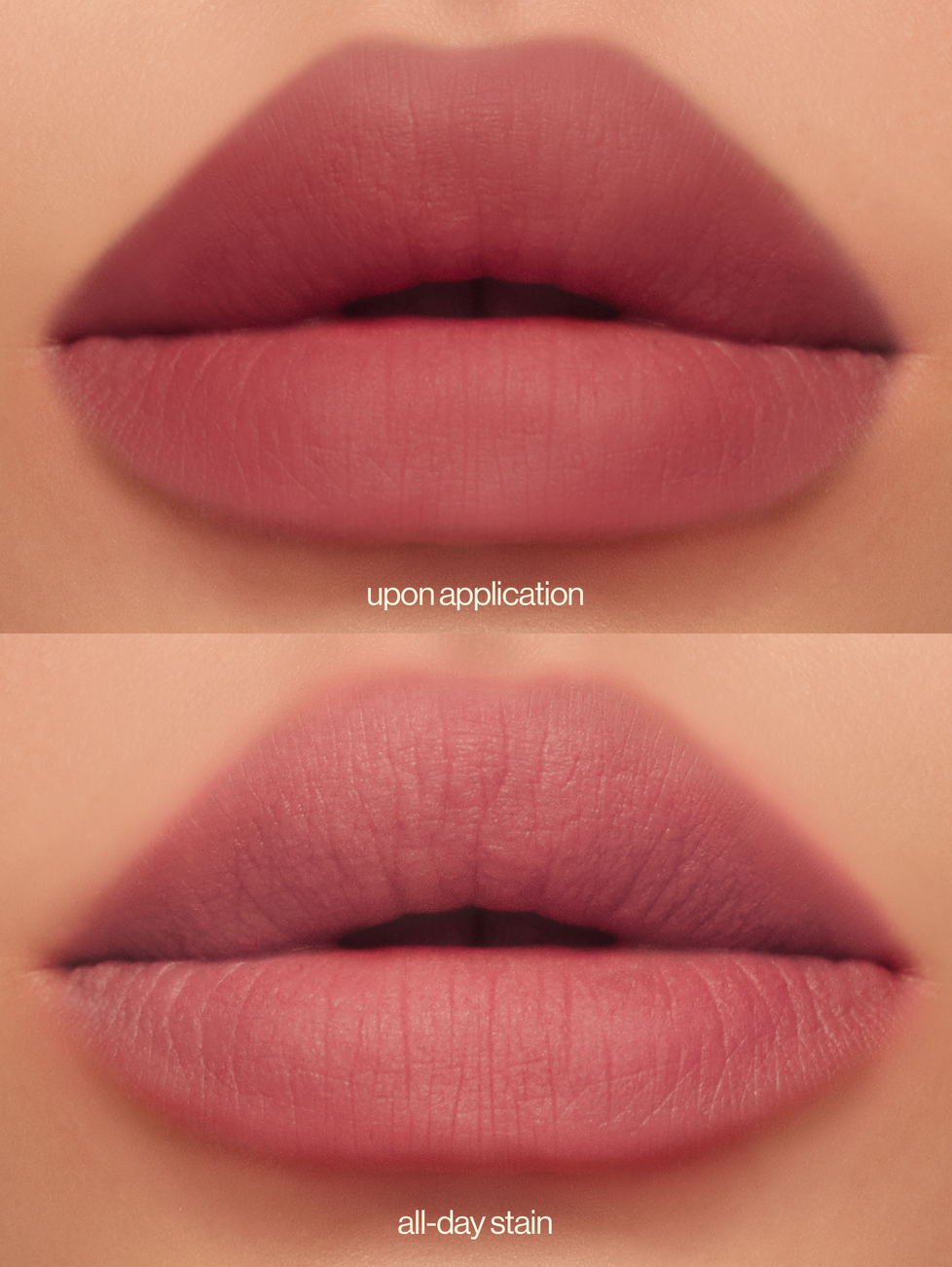 Lip Dip in Fig