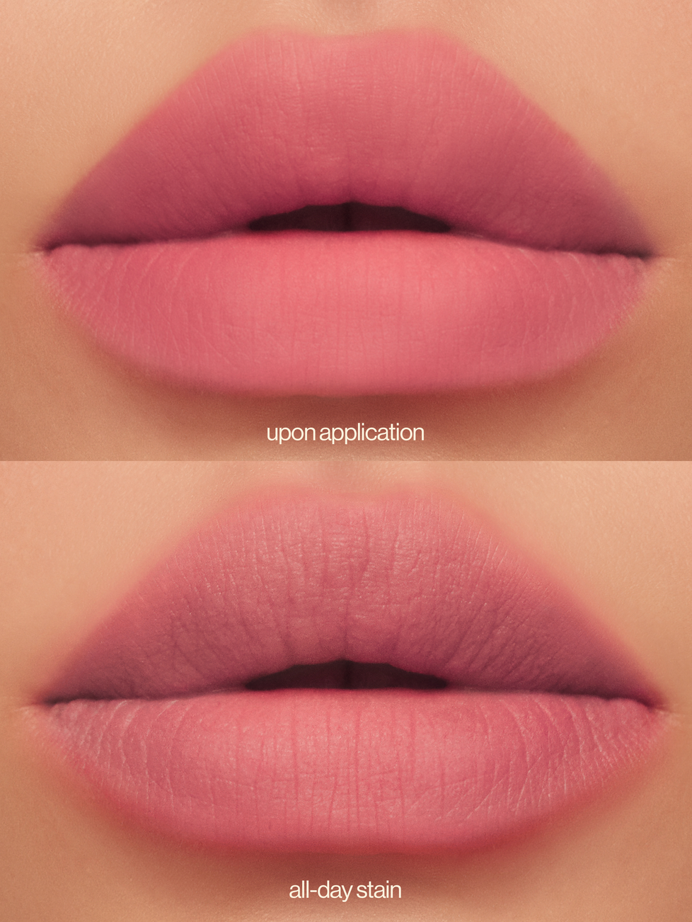 Lip Dip in Petite