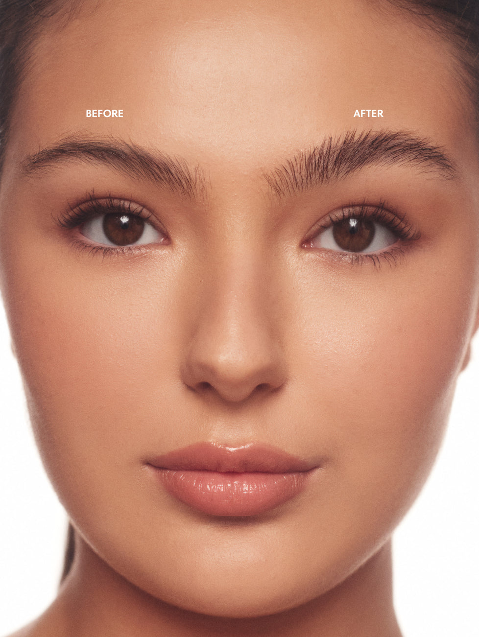 Lifebrow Micromarker in Black Brown